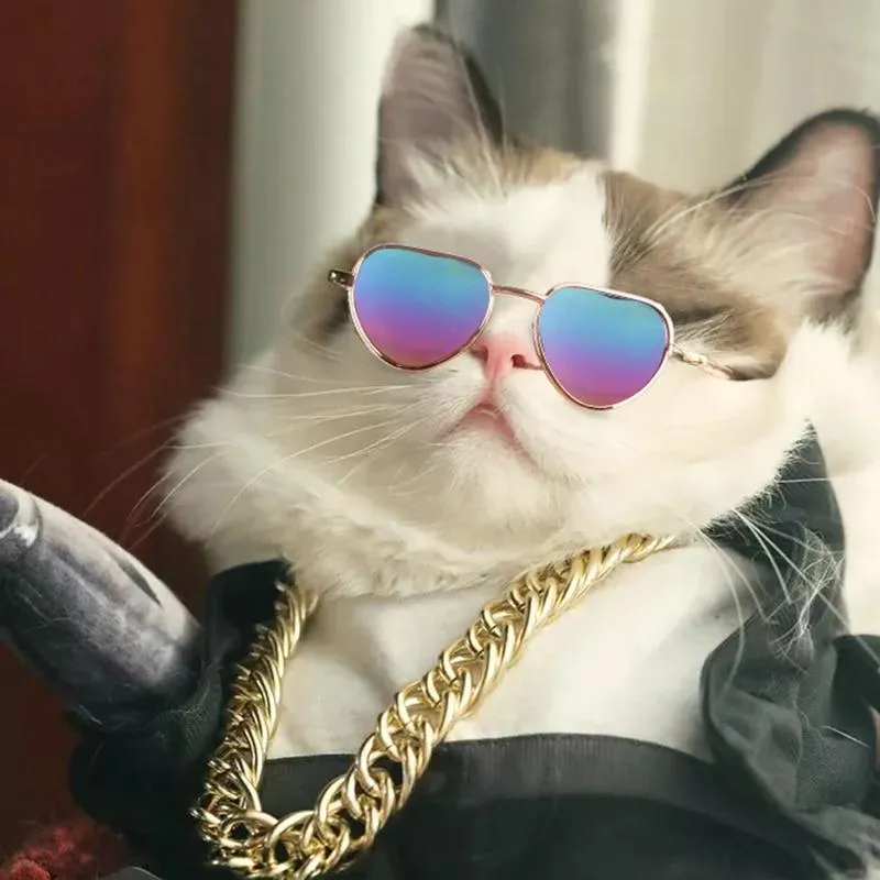 Cat Sunglasses - Tinted